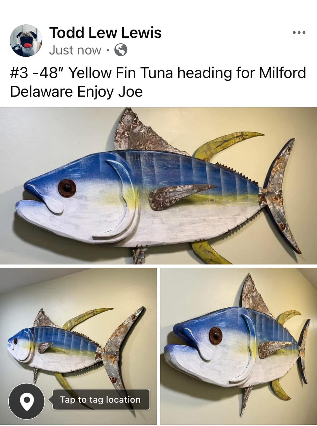 48”Tuna