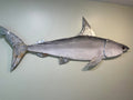 53” Sand Shark