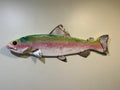 24” Rainbow Trout