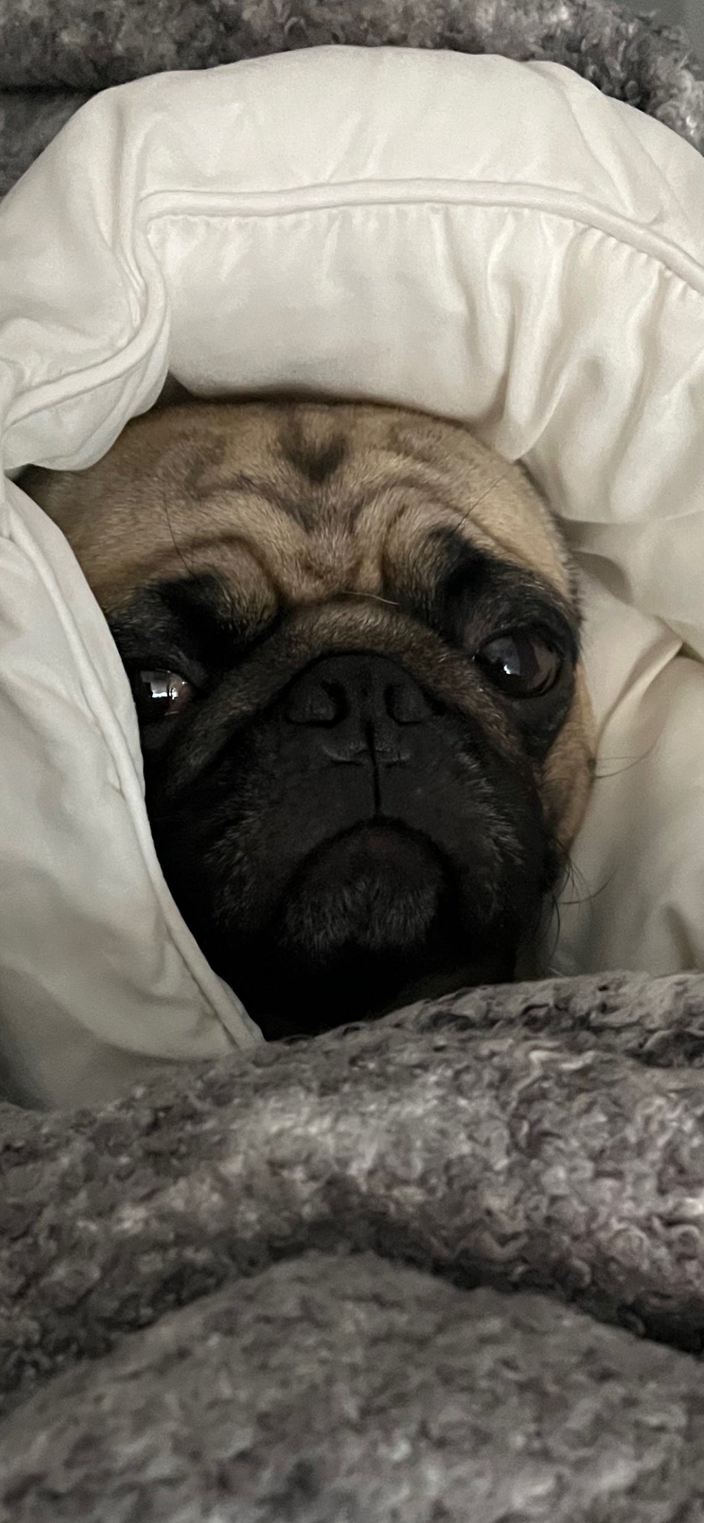 Large Resturant Signs