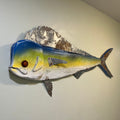 36” Mahi-Mahi