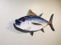 24” Blue Fin Tuna