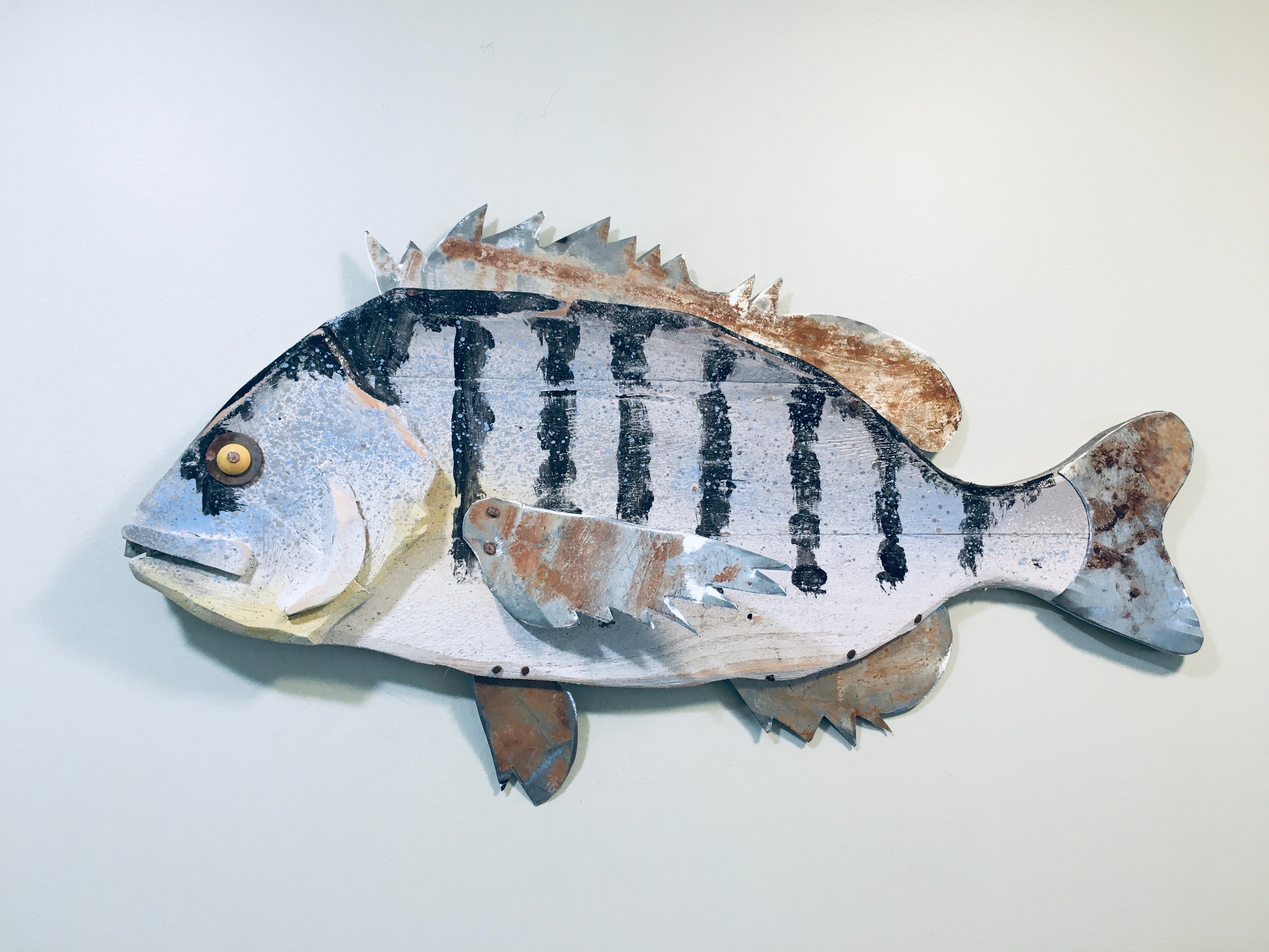 30” Sheep’s head