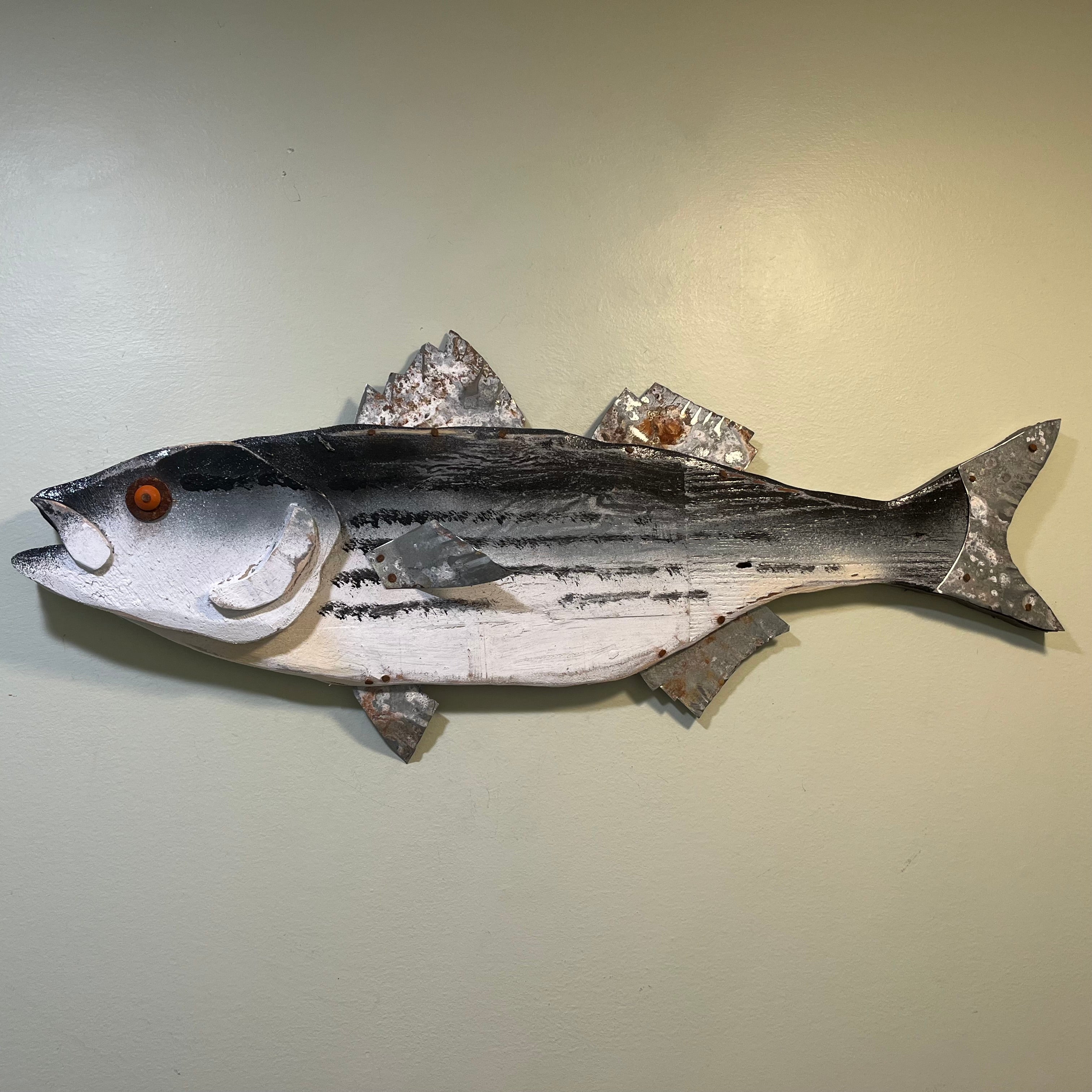 30 ” Rock Fish ( Striper )