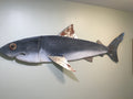 60” Great White Shark (Jaws)