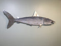 36” Mako Shark