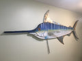 72” Blue Marlin