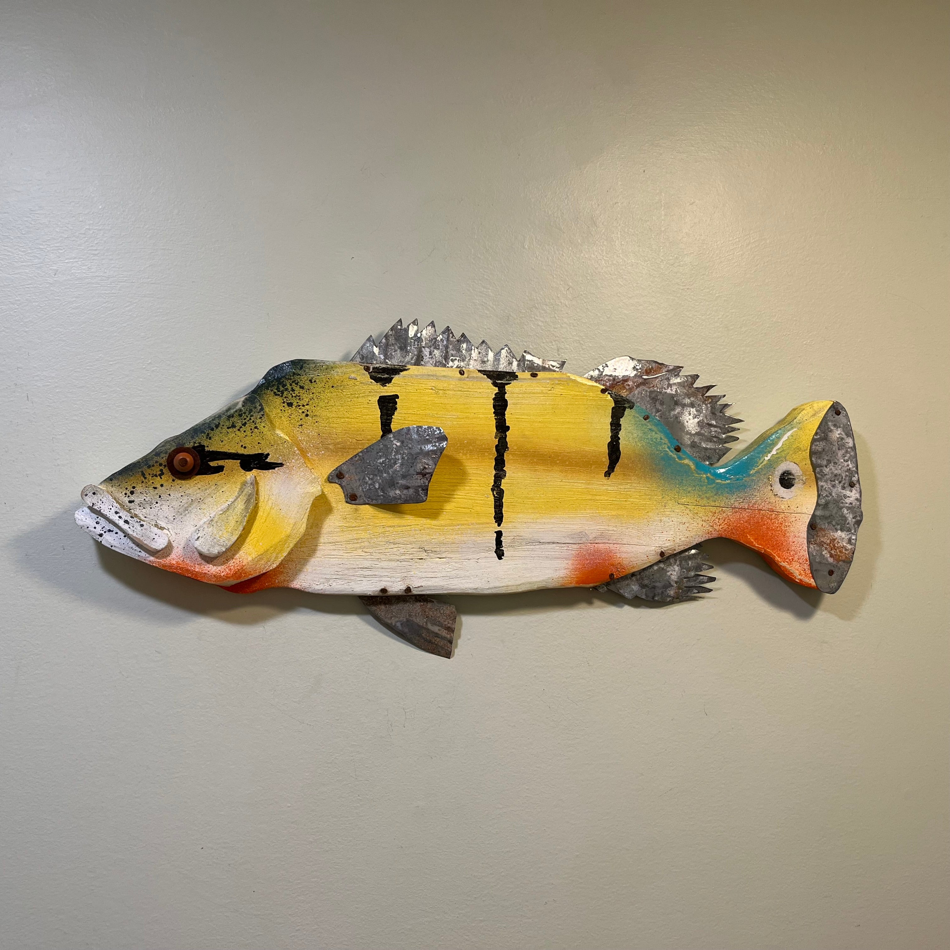 24” Peacock Bass