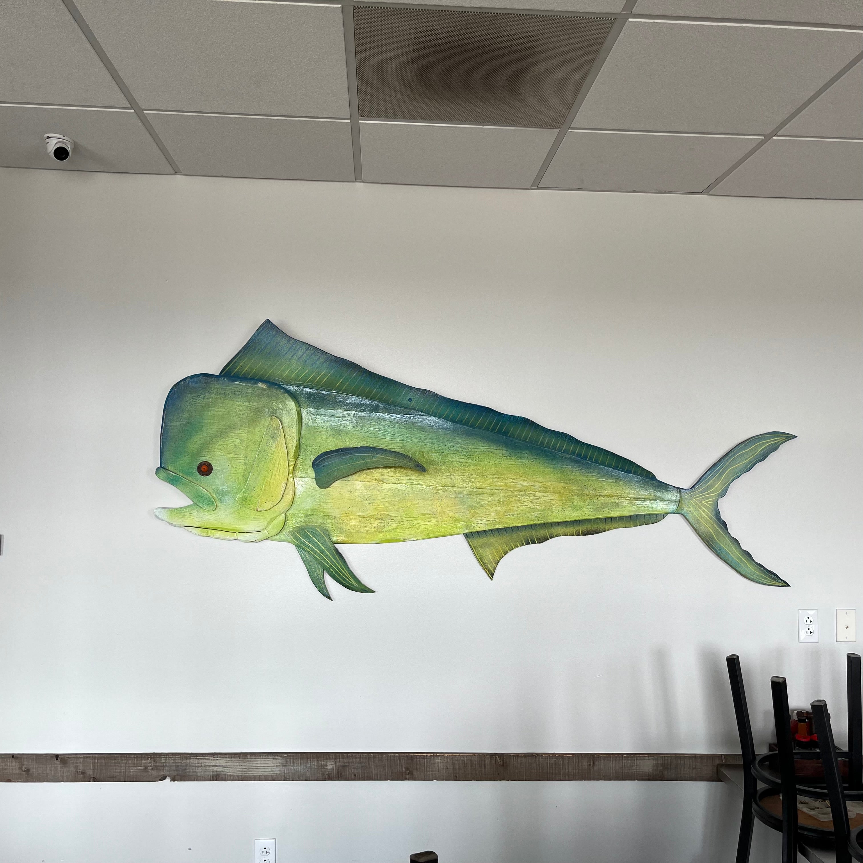 96” Mahi-Mahi